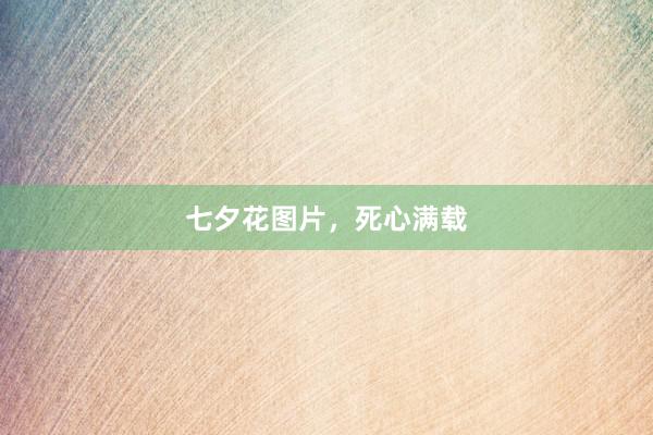 七夕花图片，死心满载