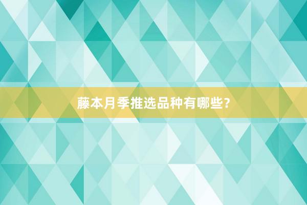 藤本月季推选品种有哪些？